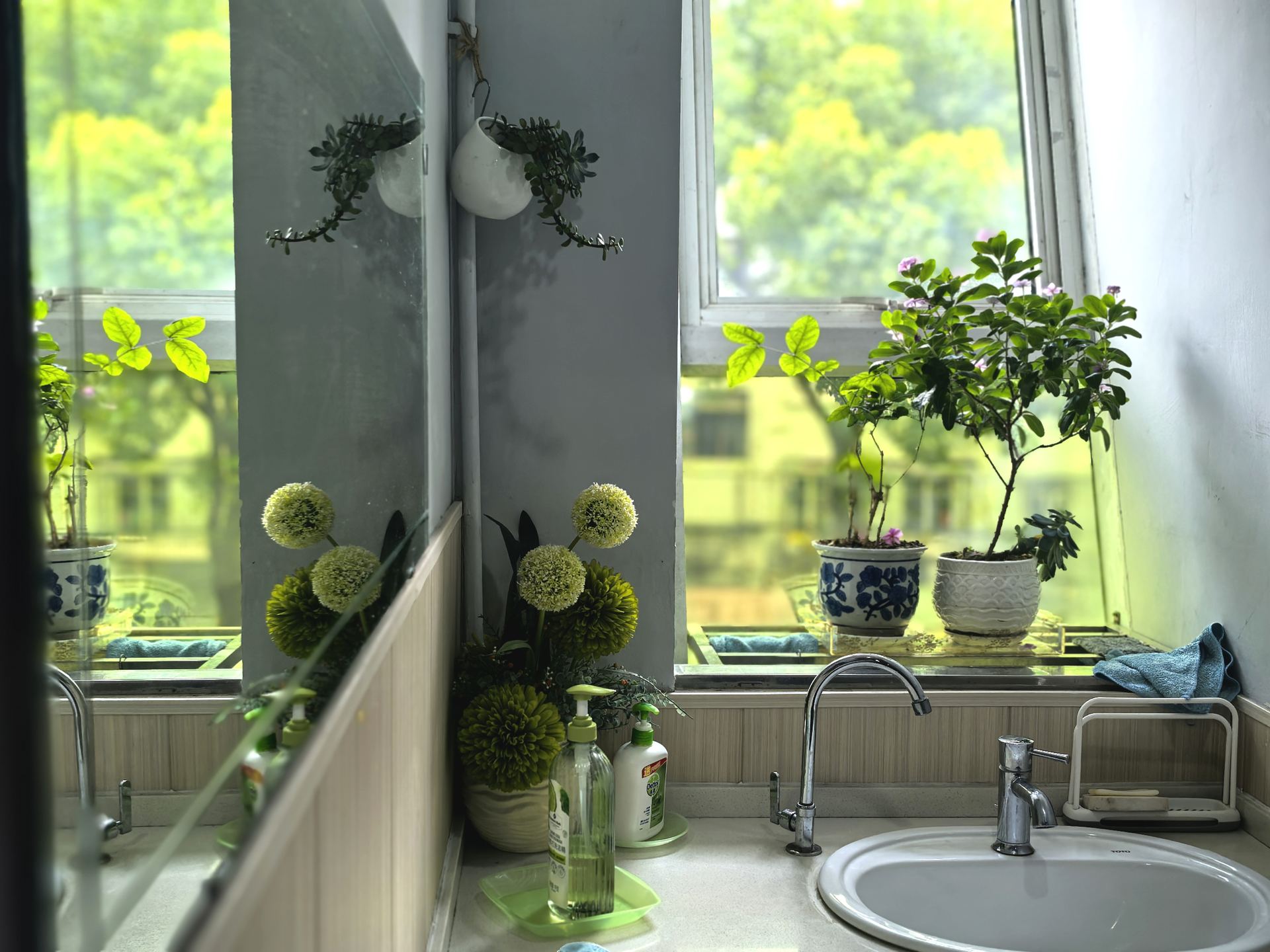 文德学校校园照片 98